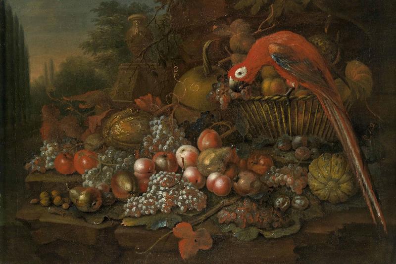 Francis Sartorius Still life with fruits and a parrot oil painting image